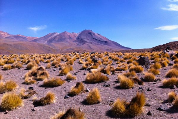 ugged Andean landscape near Potosí, featuring rocky terrain and sparse vegetation, with distant mountains under a bright blue sky.