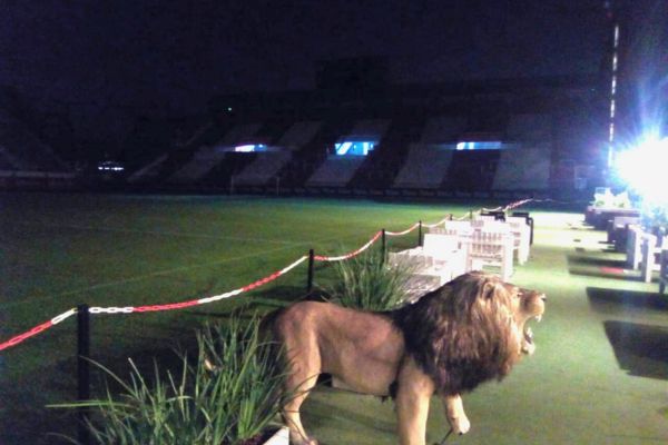 Outdoor seating at the pitchside restaurant in Estudiantes de La Plata Stadium.