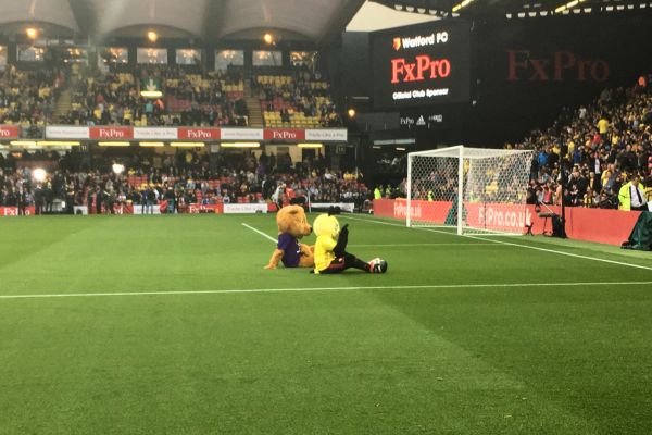 Harry the Hornet sitting on the Vicarage Road pitch, engaging with away supporters before a game