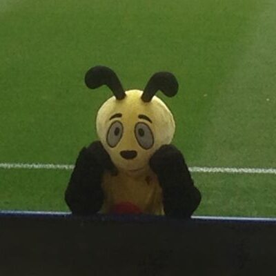 Harry the Hornet mascot standing pitchside during a Watford FC game, cheering on the team.